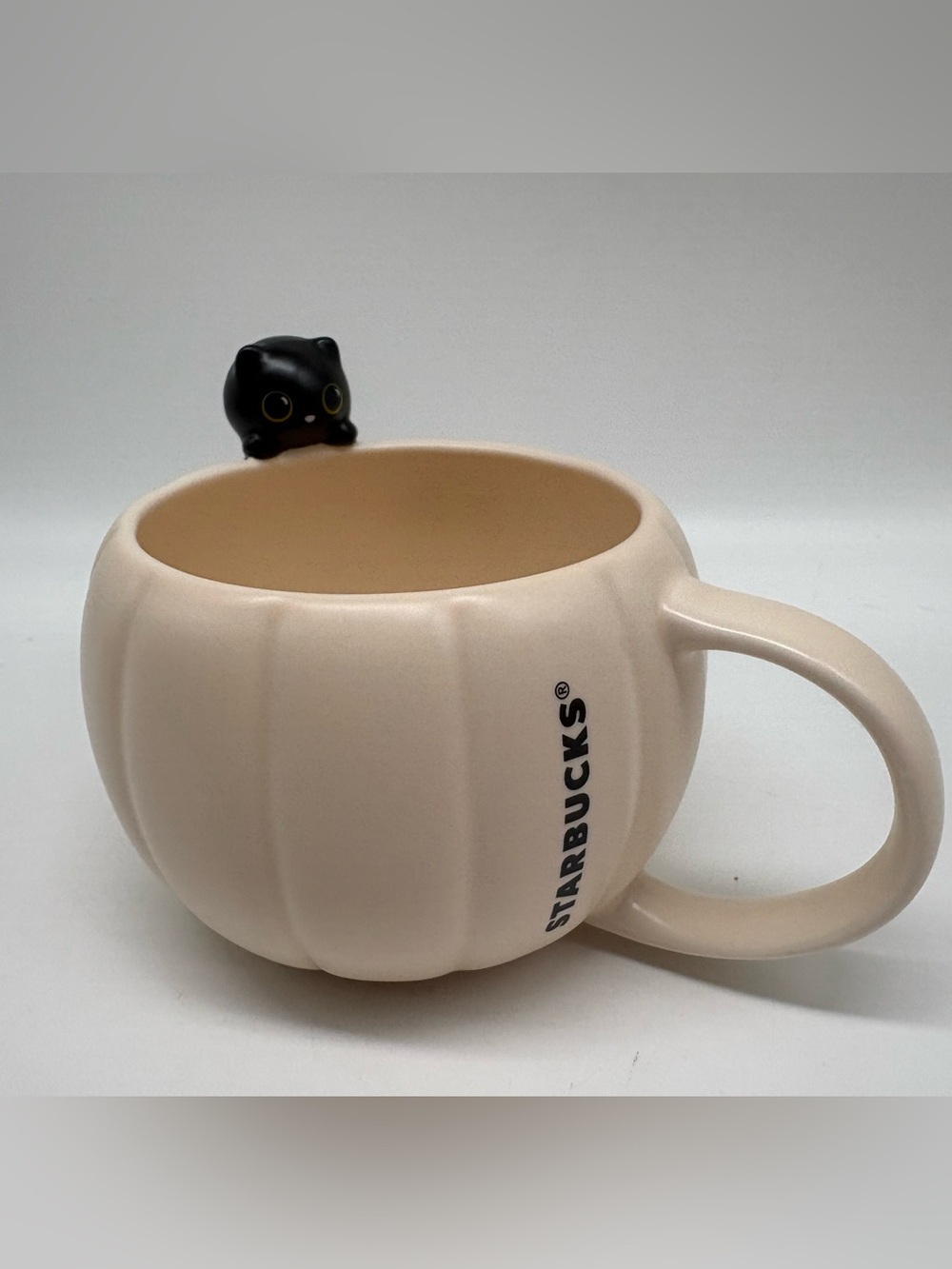 Starbucks Pumpkin Black Cat Mug Halloween 2026